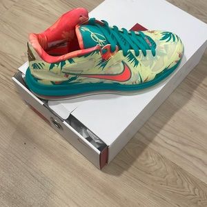 Lebron IX Low